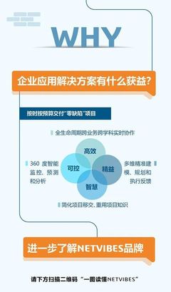 一图读懂|NETVIBES 重资产项目数据智能