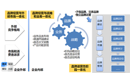 信思哲咨询服务-行业经验