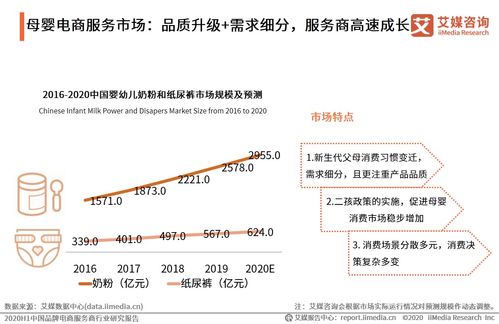 艾媒咨询 2020H1中国品牌电商服务商行业研究报告