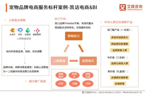 2021年中国品牌电商服务商行业研究报告